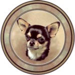  Chihuahua Short (R) Single (150mm)