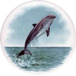 [T DOLP 5 B90] Dolphin 5 Single (90mm)