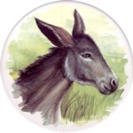 Donkey Single (150mm)
