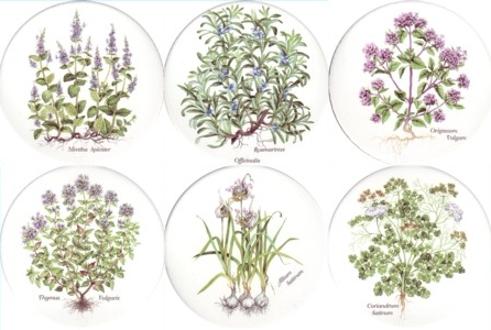 Herbs Set of 6 (90mm)
