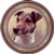  Jack Russell Smooth (R) (90mm)