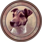  Jack Russell Smooth (R) Single (150mm)