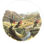Rosellas Single 90mm