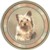  Yorkie Silky Terrier (R) Single (90mm)