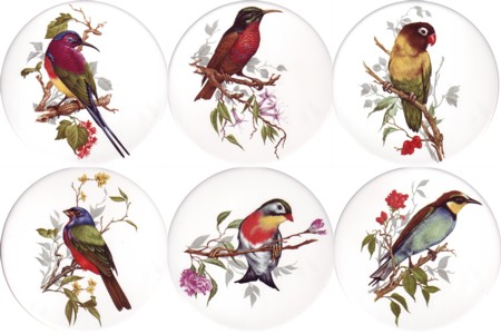 Tropical Birds 1 Set of 4 (90mm)