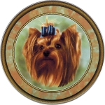Yorkie with Ribbon (R) Single (90mm)  